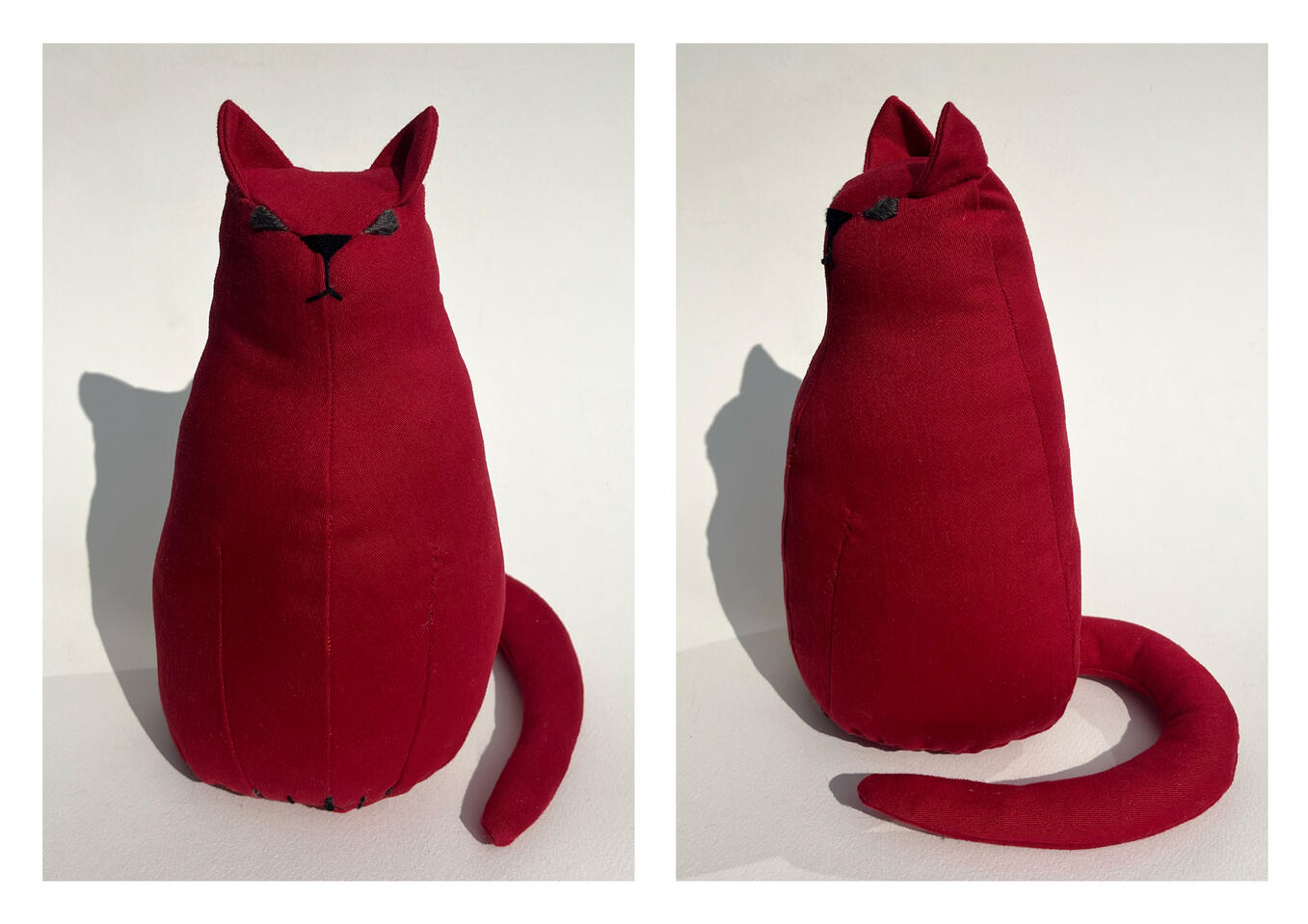 The Red Cat