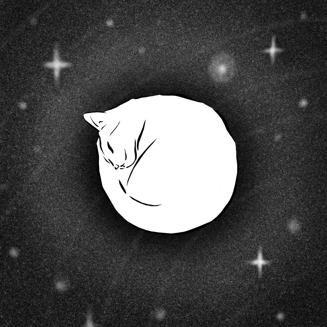 Cat Illustration