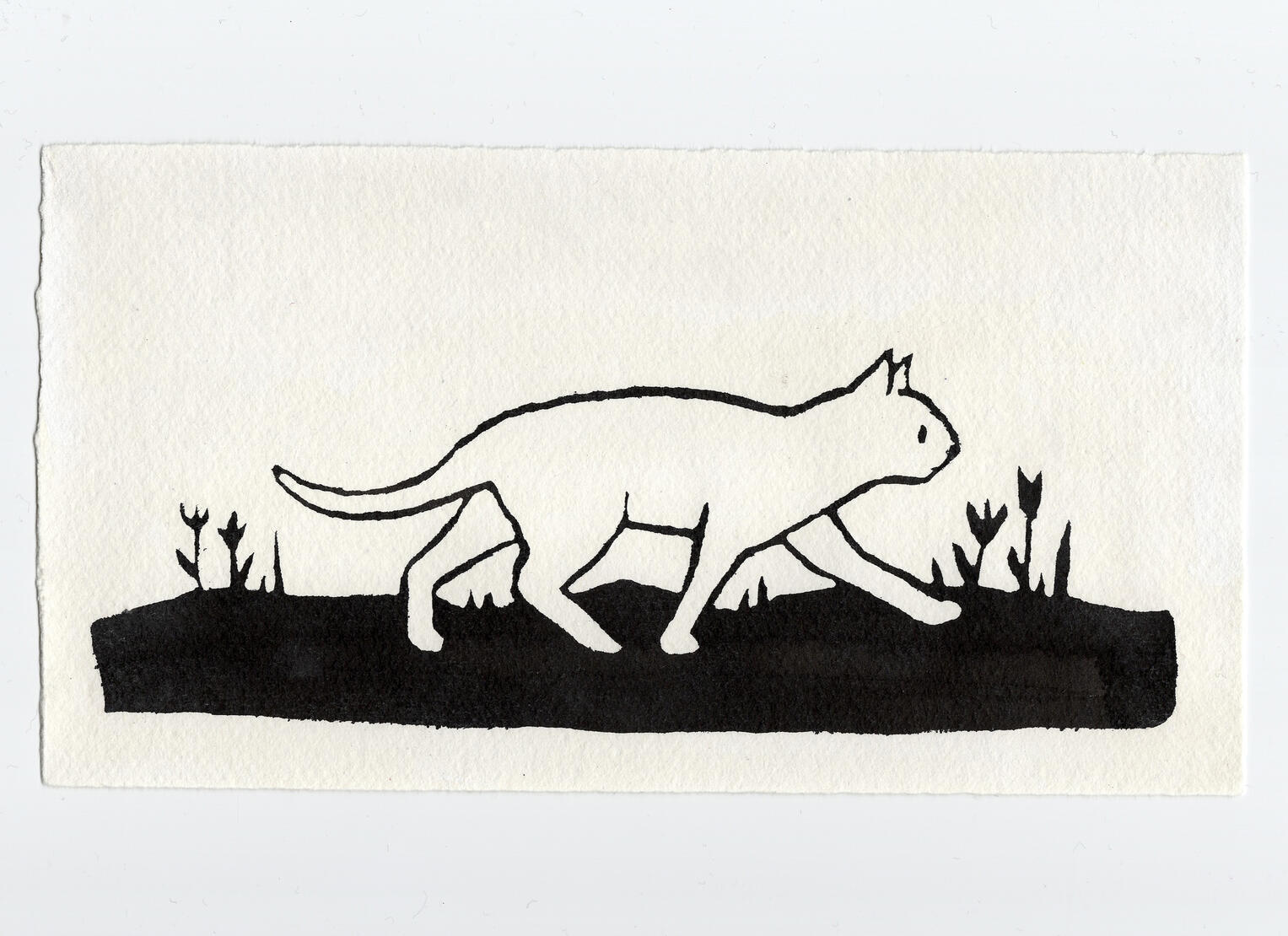 Cat Walking Ink Illustration